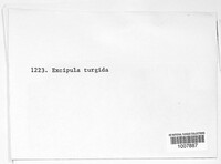Image Associated With the Occurence
